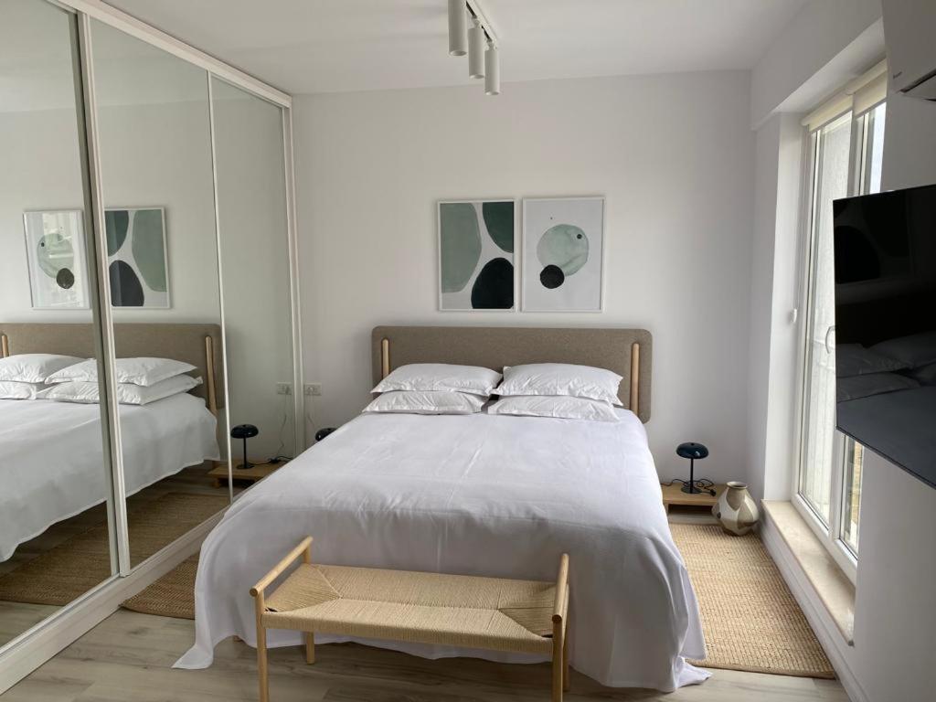 Shi Mi Junior Suite Iasi Exteriör bild